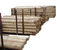 Picutre for Lumber Secion